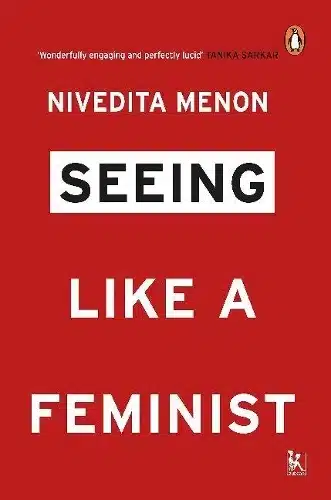 Seeing Like a Feminist