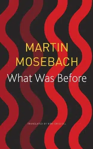 What Was Before (Seagull German Library)