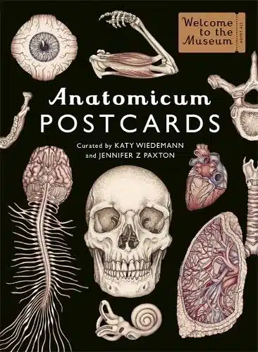 ANATOMICUM POSTCARD BOX