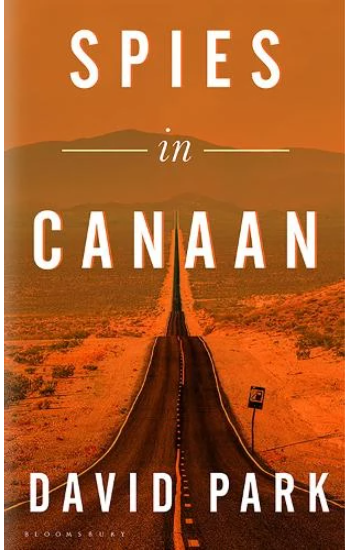 Spies in Canaan: 'One of the most powerful and probing novels so far this year' - Financial Times, Best summer reads of 2022