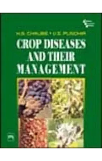 E-Government: The Science Of The Possible